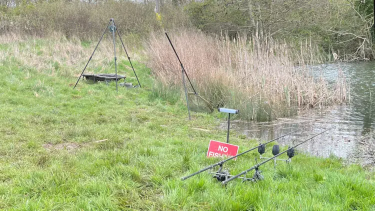 the bream net saw some action