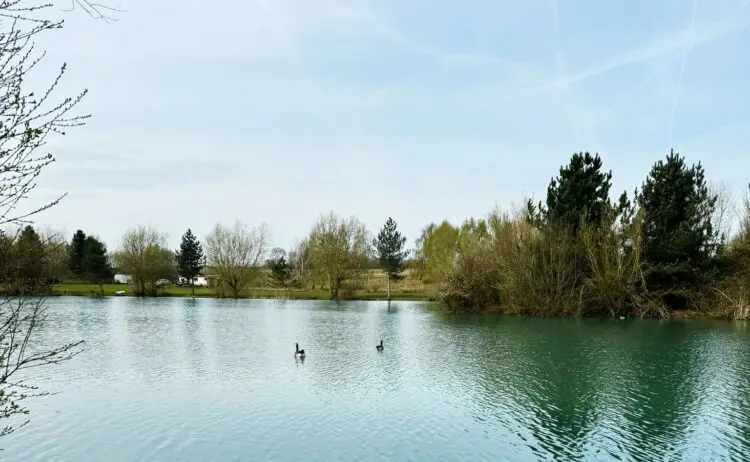 Crowheath Fisheries Essex