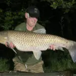 28lb grass carp