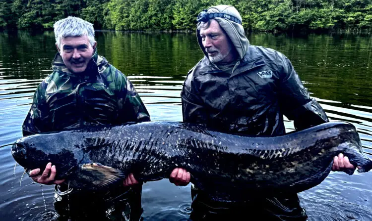 Dave with a 115lb catfish from Pleasure Lake Limoges