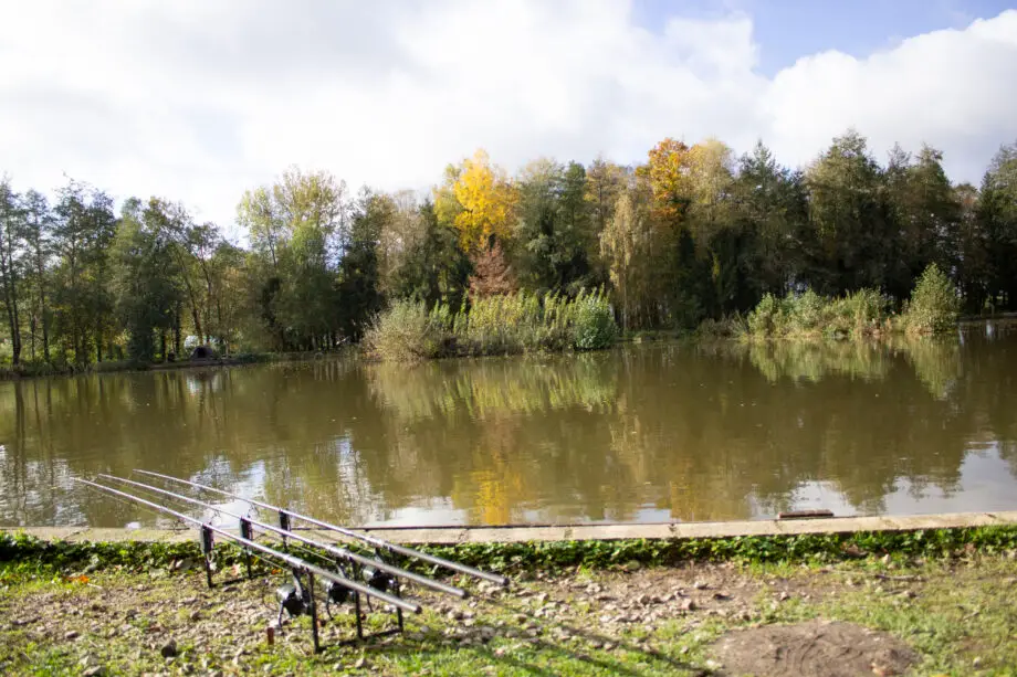 Petit Pretre Lake in Montier-en-Der, Champagne region, France