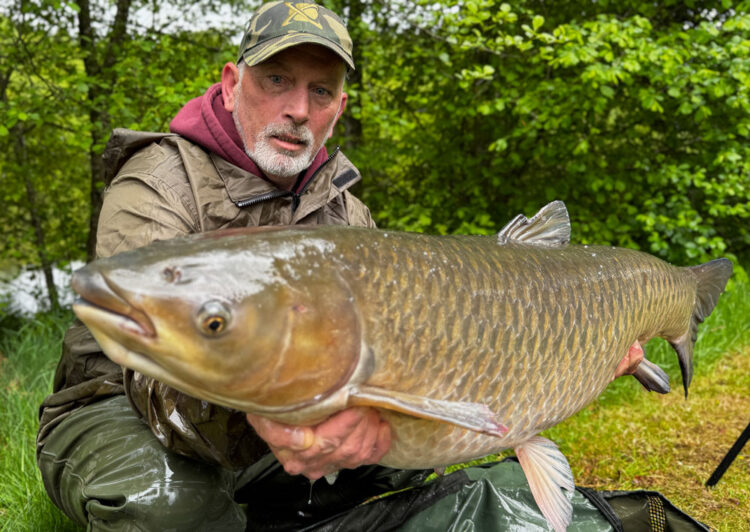 Pete grass carp