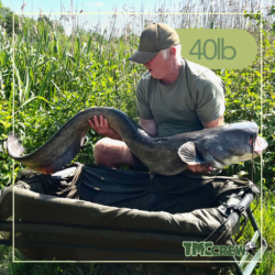 Darren with his first ever catfish weighing in at 40lb