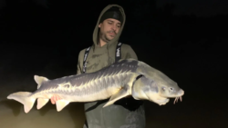 Steve with something a bit different!