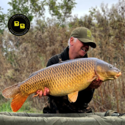 26:13lb opportunist common
