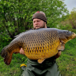 A 43lb Common for Ray!