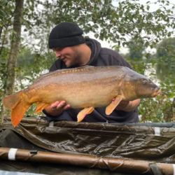 Dee on the syndicate