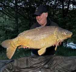 33:8lb mirror carp
